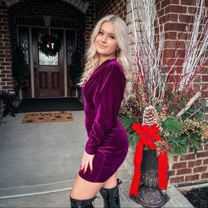 Velvet plum dress from Fashion Nova. Size small. Great condition.